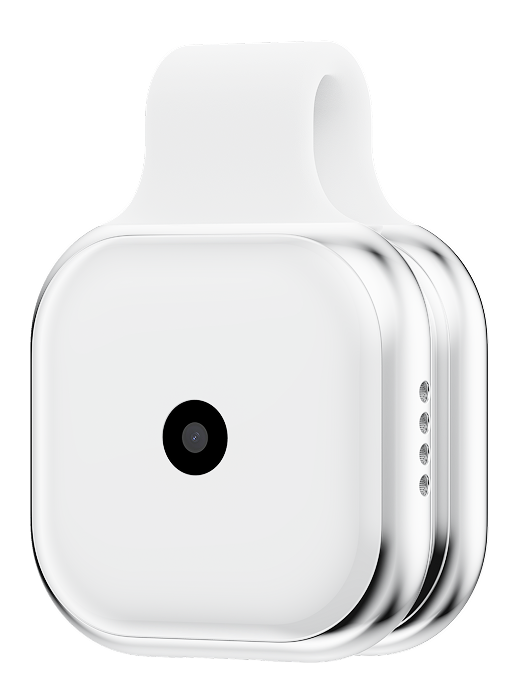 Sein PAI wearable device